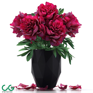 Peonies